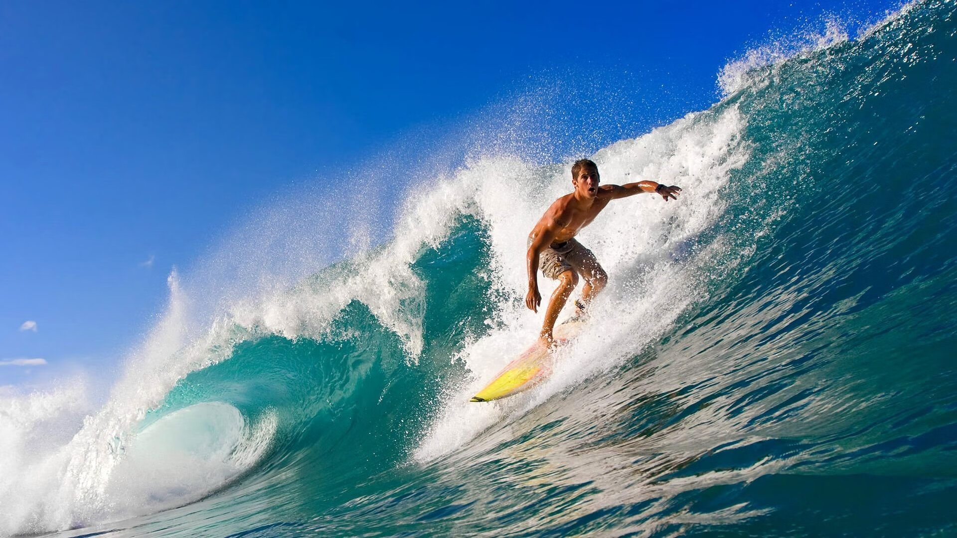 Jiuyou-_篮网队实力出众，继续领跑联盟_，你知道篮网队吗