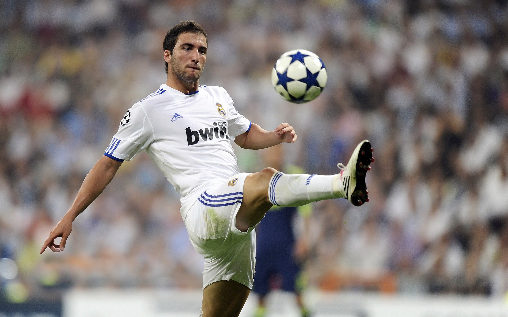 凯撒酋长球迷组织举办庆祝活动,支持球队,凯撒酋长足球俱乐部